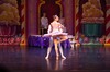 2018-12-16 The Nutcracker 331